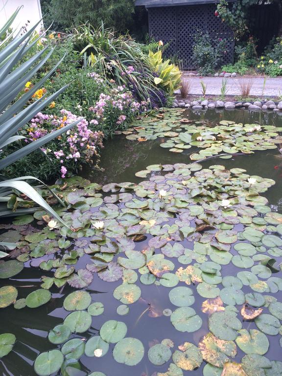 Water Lily Garden Bed & Breakfast Christchurch Ngoại thất bức ảnh